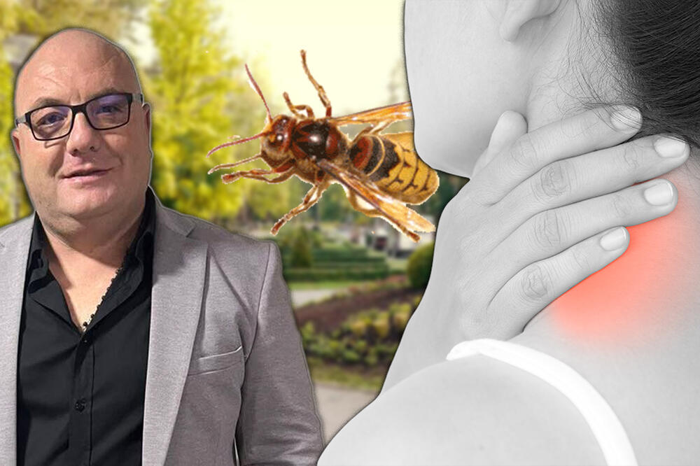 STRŠLJEN USMRTIO ŽENU KOD VRNJAČKE BANJE, UBOD BIO KOBAN! Vladica se OGLASIO - Ne bi umrla samo da je imala...