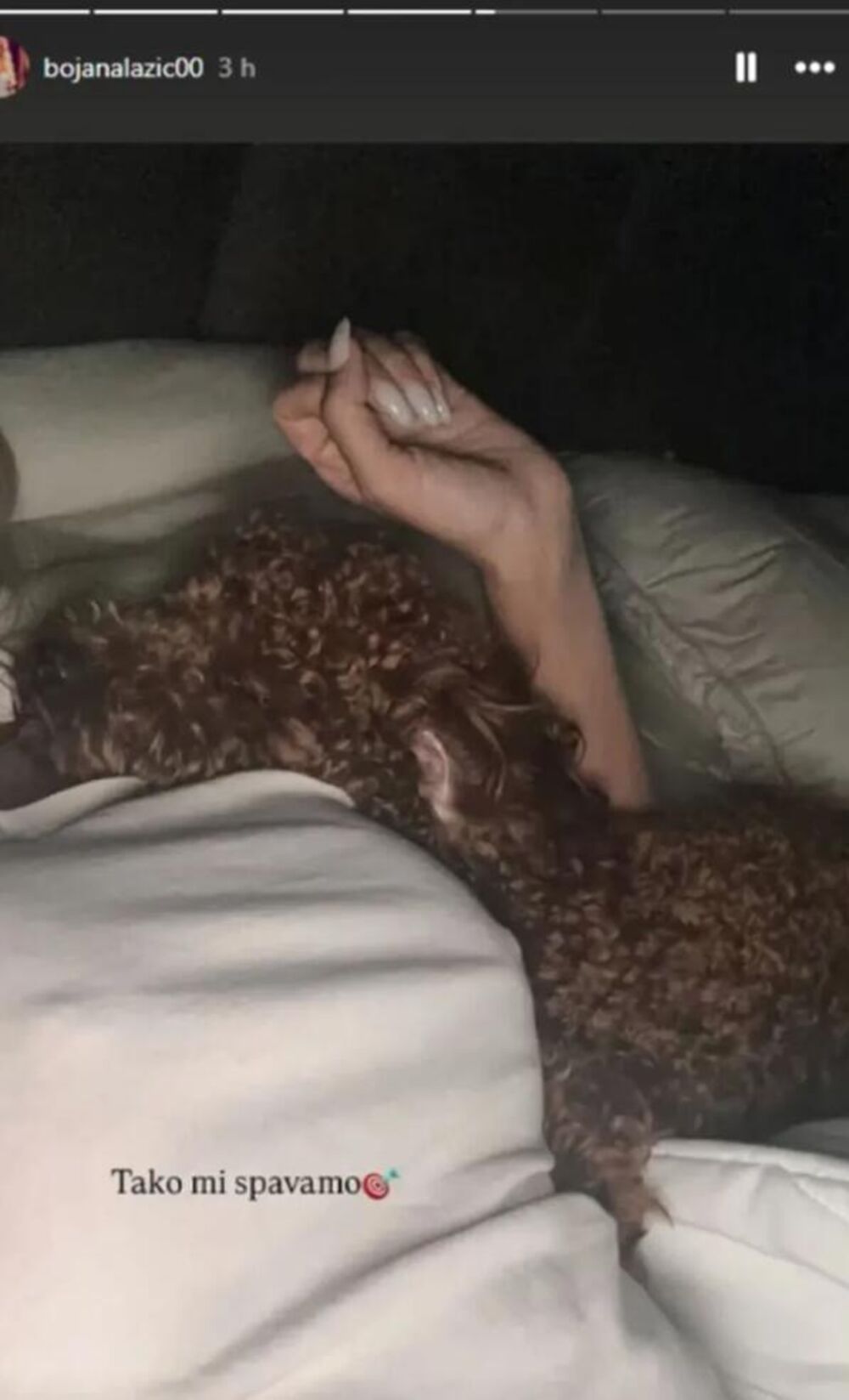 Bojana sa psom u krevetu