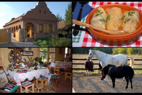 Dve reke, plaža, duboka šuma i sve na jednom mestu! Zvuči kao da ste otišli u raj, a zapravo ste blizu Beograda