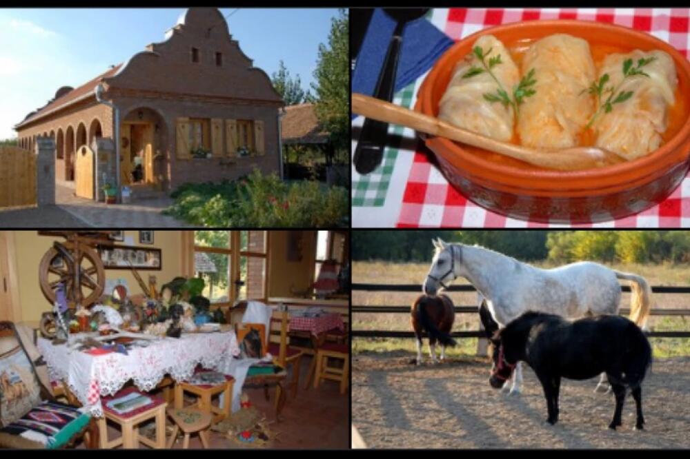 Dve reke, plaža, duboka šuma i sve na jednom mestu! Zvuči kao da ste otišli u raj, a zapravo ste blizu Beograda