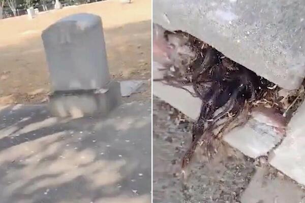 JEZIV PRIZOR NA GROBLJU: Video je da nešto viri, ZALEDIO SE U TRENU (VIDEO)