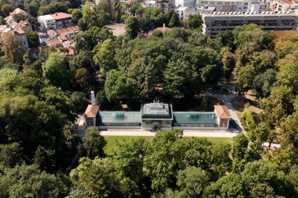 BILJNI SVET BOTANIČKE BAŠTE: Učionica na otvorenom, hrastovi stariji više od dva veka