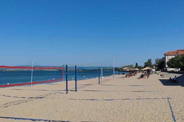 "OTROVNA JE I KAD JE MRTVA!" Uzbuna u evropskoj zemlji zbog smrtonosnog morskog stvorenja koje se pojavilo na plaži