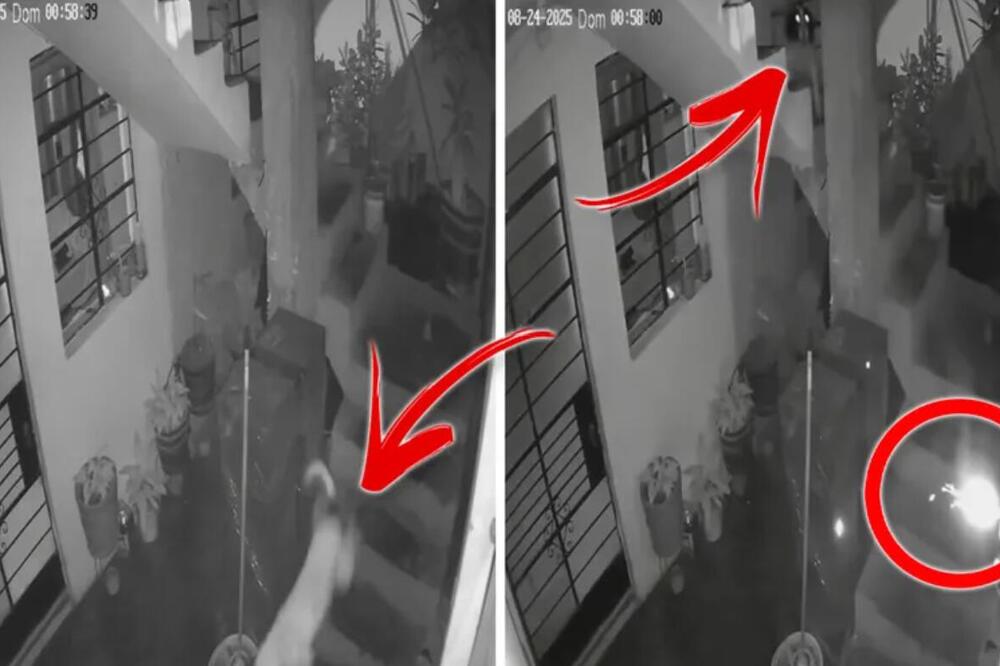 Pas heroj zgrabio dinamit i prežvakao ga: Spasao svoju porodicu sigurne smrti! (VIDEO)