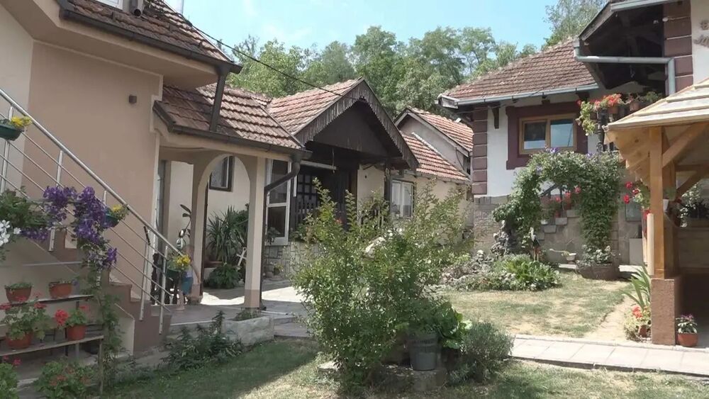 Svetlana se bavi seoskim turizmom u selu kod Gornjeg Milanovca