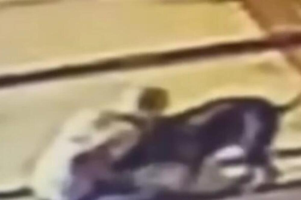 Video gledate na svoju odgovornost, nije za mlađe od 18! Baka branila svog psa od pitbula, pa ga ujela za VRAT