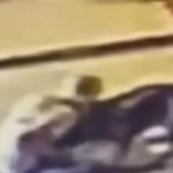 Video gledate na svoju odgovornost, nije za mlađe od 18! Baka branila svog psa od pitbula, pa ga ujela za VRAT