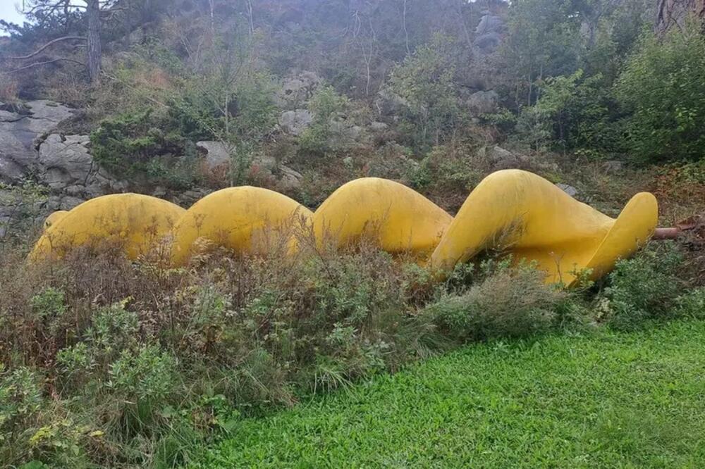 Šetao šumom pa pronašao masivan predmet koji nešto radi, a niko ništa ne zna: Jedan čovek je uspeo da provali, ludo