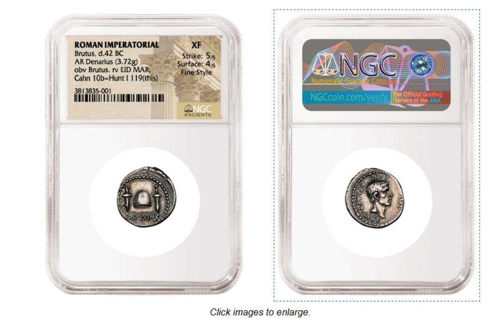 brut, brutov novčić