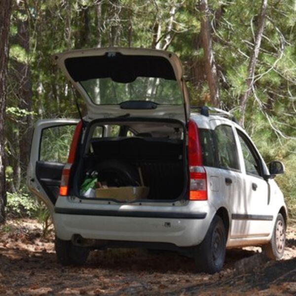 Domaćini legli da spavaju, a onda... Kamera zabeležila strašan prizor u dvorištu kuće u Crnoj Gori! (VIDEO)