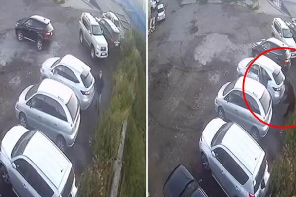 Za dlaku izbegao smrt: Snimak medveda koji je umalo ubio muškarca nakon što je rastrgao ženu i napao dečaka VIDEO