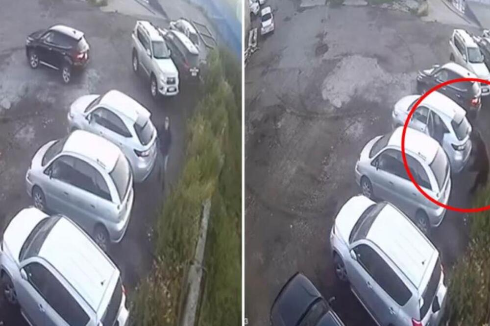 Za dlaku izbegao smrt: Snimak medveda koji je umalo ubio muškarca nakon što je rastrgao ženu i napao dečaka VIDEO