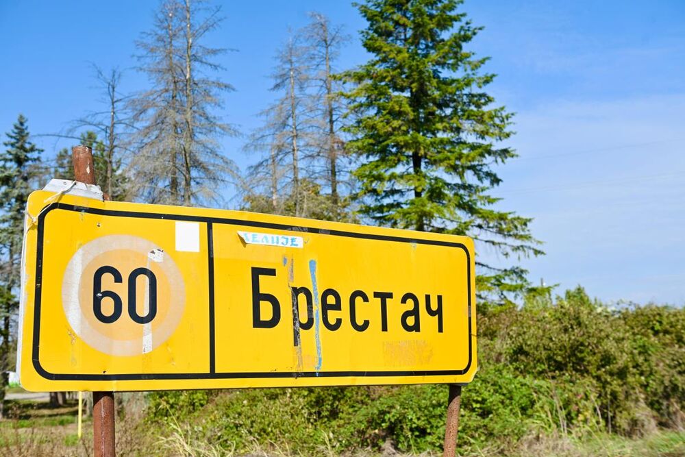 Brestač, Darko Lazić