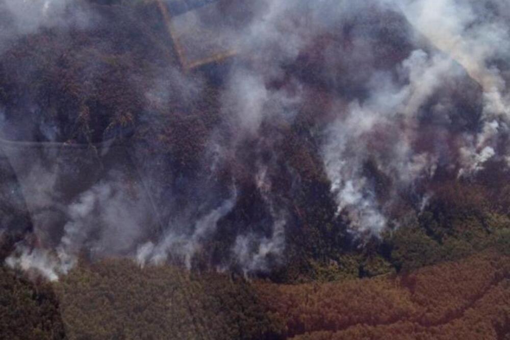 Izbio požar na Mokroj gori! Vatra guta sve pred sobom, 50 vatrogasaca se bori sa vatrenom stihijom