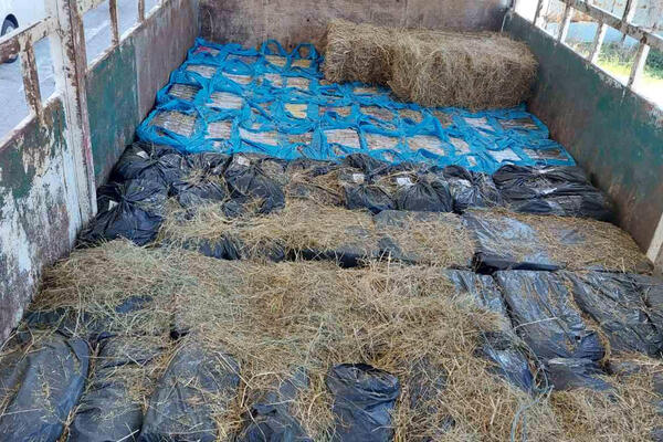 OŠTETILI BUDŽET ZA 246 MILIONA DINARA! Jedna osoba uhapšena, protiv 104 podnete KRIVIČNE PRIJAVE! Ovako su MULJALI!