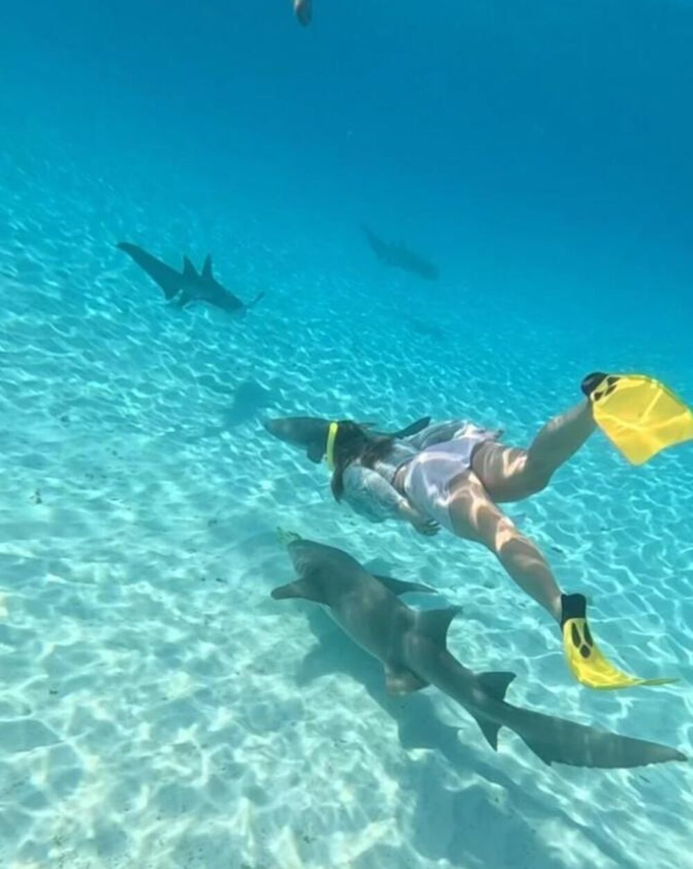 Jekaterina Aleksandrova