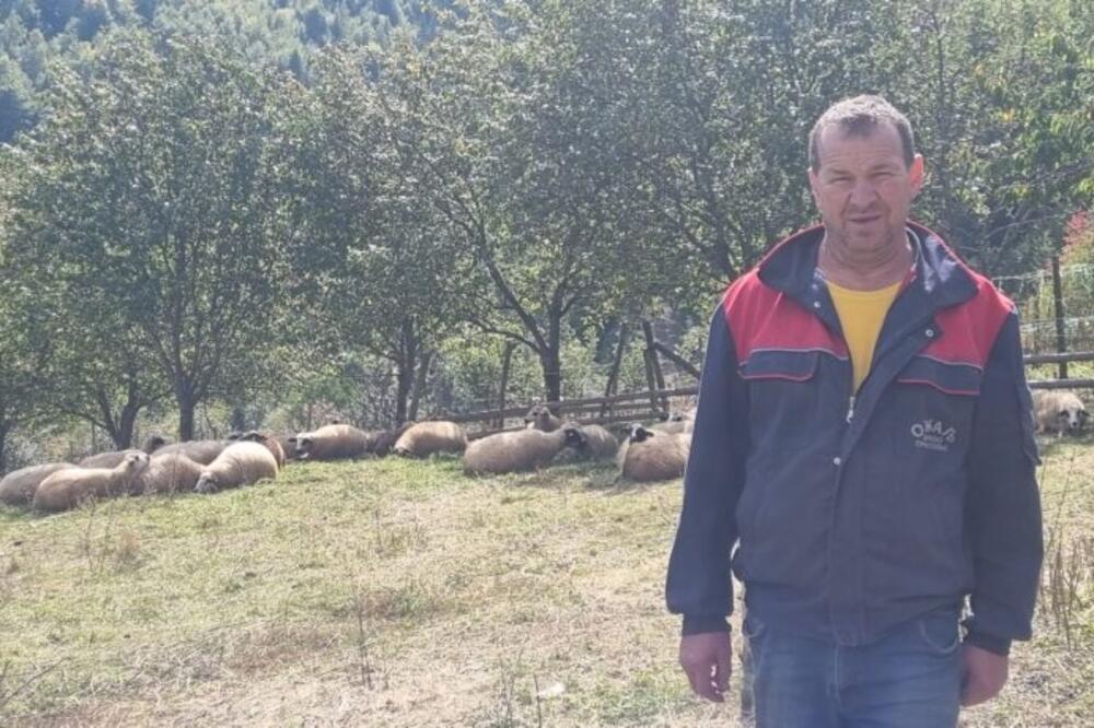 Probudio ga lavež i buka, a kad je izašao zatekao KRVAV PRIZOR: Strava i užas u selu kod Priboja, ljudi UZNEMIRENI