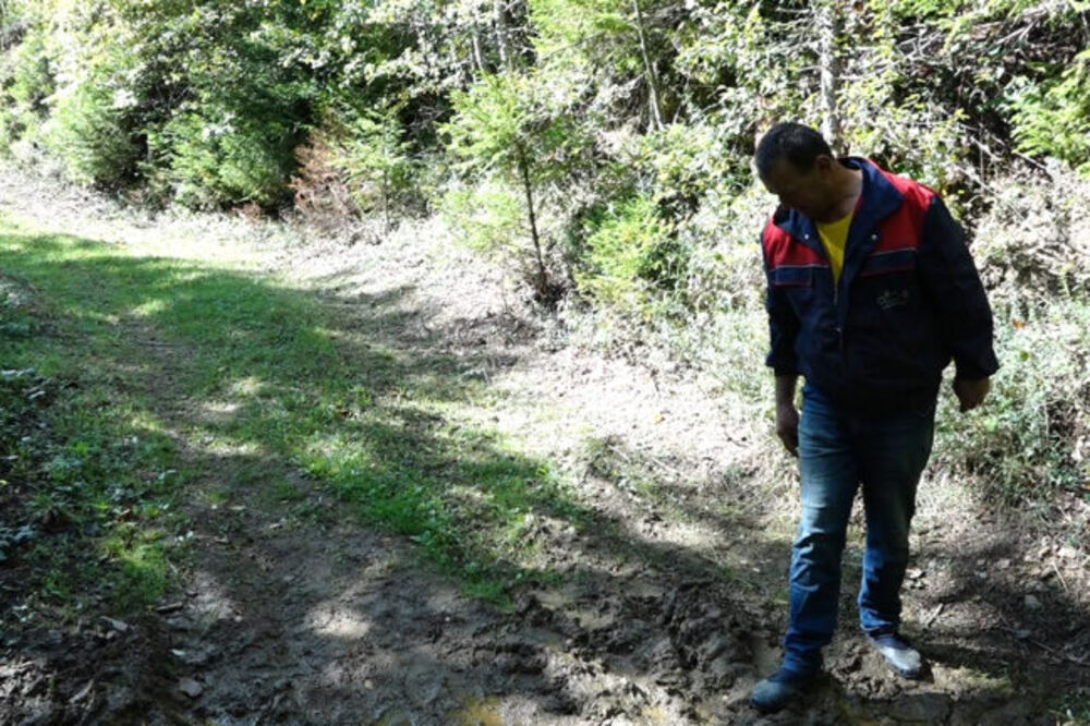 Ovo je isplativ posao u Srbiji za koji mnogi ne znaju, pa propuštaju masne pare: Velika zarada uz samo 1 caku!