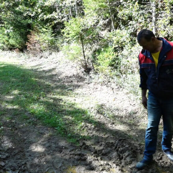 Ovo je isplativ posao u Srbiji za koji mnogi ne znaju, pa propuštaju masne pare: Velika zarada uz samo 1 caku!