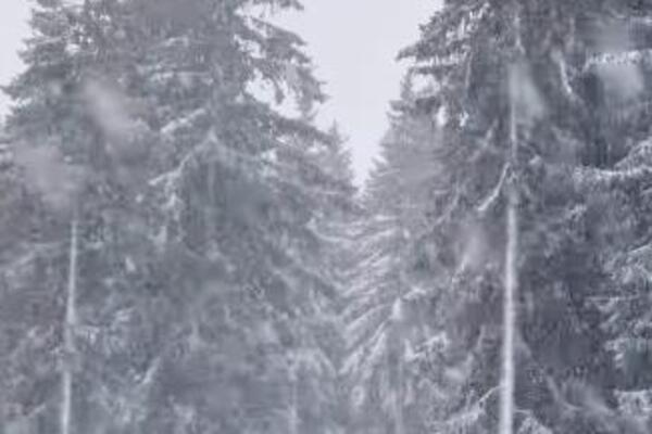 Pre 10 dana bilo 30 stepeni, a danas se SVE BELI: Neverovatni prizori, da li je ovo moguće? (VIDEO)