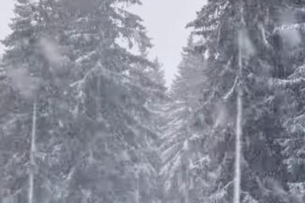 Pre 10 dana bilo 30 stepeni, a danas se SVE BELI: Neverovatni prizori, da li je ovo moguće? (VIDEO)