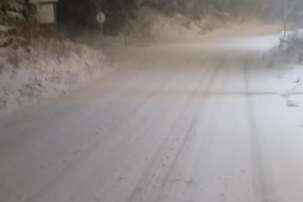 POLA SRBIJE JE DANAS POD SNEGOM, A U BEOGRADU PLJUŠTI KIŠA! Drveće pada, putevi blokirani, a tek će VEJATI! (FOTO)