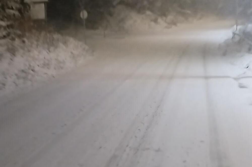 POLA SRBIJE JE DANAS POD SNEGOM, A U BEOGRADU PLJUŠTI KIŠA! Drveće pada, putevi blokirani, a tek će VEJATI! (FOTO)