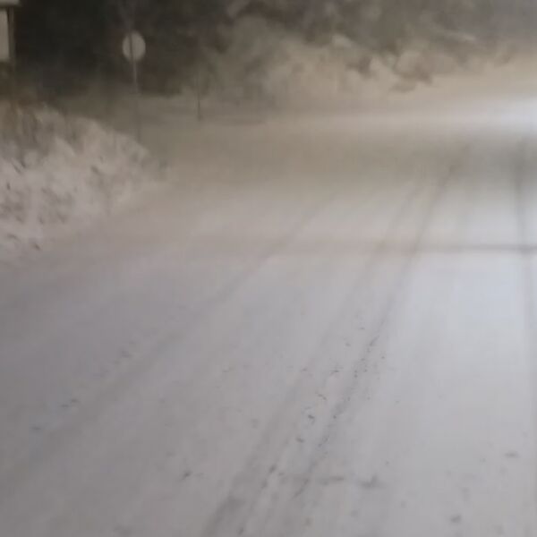 POLA SRBIJE JE DANAS POD SNEGOM, A U BEOGRADU PLJUŠTI KIŠA! Drveće pada, putevi blokirani, a tek će VEJATI! (FOTO)