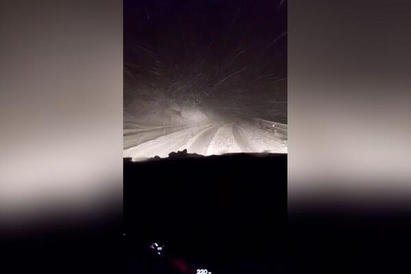 Ovaj put u Srbiji je trenutno najopasniji: Sneg veje na sve strane, meštani seku drvo da bi prošli! (VIDEO)
