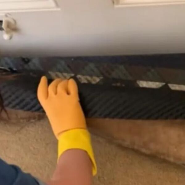 Bračni par kupio kuću staru 100 godina, pa tokom renoviranja otkrili čudo! Kad su podigli tepih zatekli... (VIDEO)