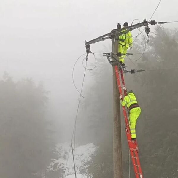 Snažno nevreme napravilo totalni haos po Srbiji! Monteri otklonili veće kvarove na elektromreži, radili danonoćno