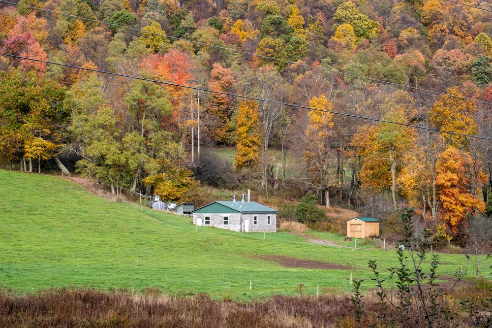 Živeo u kući i bio uveren da poznaje svaki kutak, a onda pronašao TAJNI LAVIRINT: Na podu ugledao OVO i šokirao se