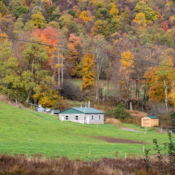 Živeo u kući i bio uveren da poznaje svaki kutak, a onda pronašao TAJNI LAVIRINT: Na podu ugledao OVO i šokirao se