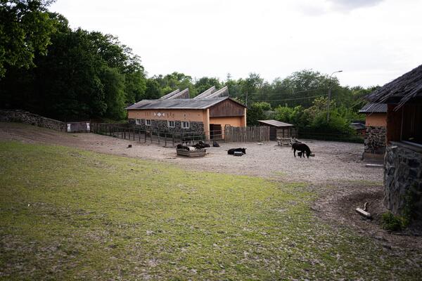 Žena u štali naišla na ovo blago! Kad je otišla u prodavnicu i pokazala prodavačici, ova se srušila za kasom