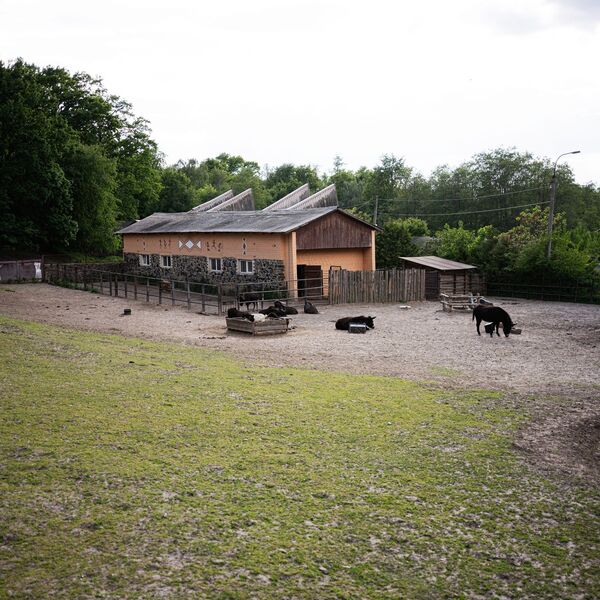 Žena u štali naišla na ovo blago! Kad je otišla u prodavnicu i pokazala prodavačici, ova se srušila za kasom