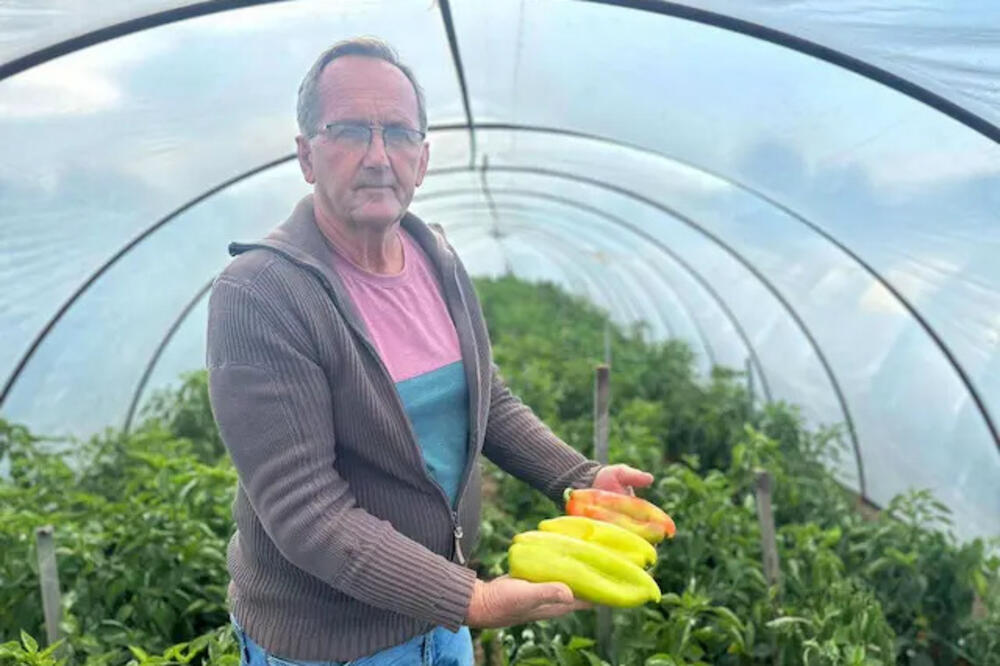 Veljo iz Čačka otkriva koliko se prska i tretira povrće u plastenicima: Objasnio i šta se obavezno radi sa robom