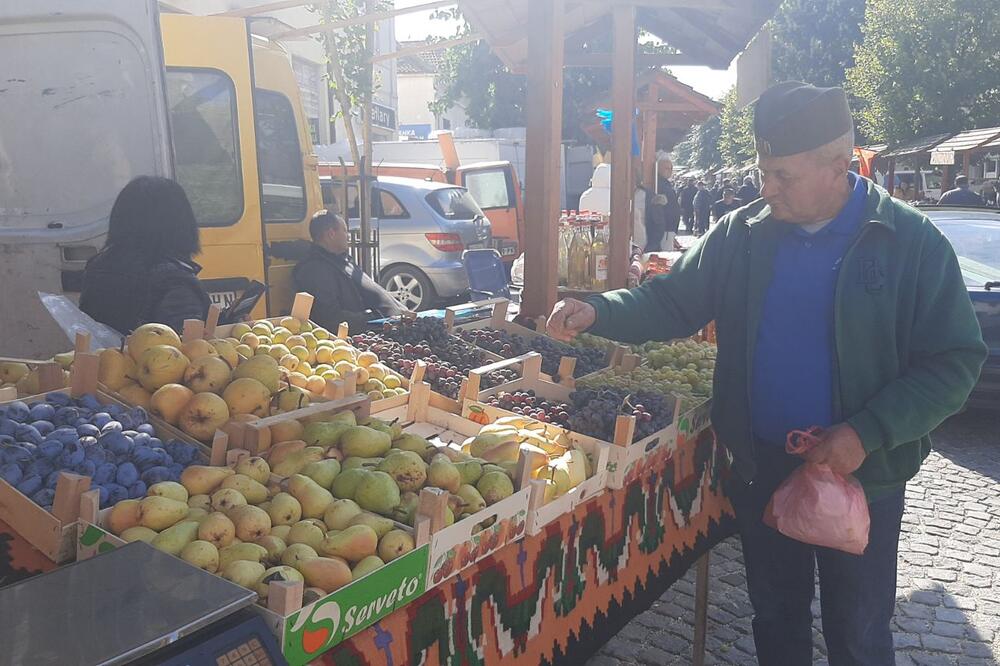 Kilo grožđa na tezgi 200 dinara, domaće vino 400 po litru: Na hiljade ljudi dolazi u Topolu, ovo je razlog (FOTO)