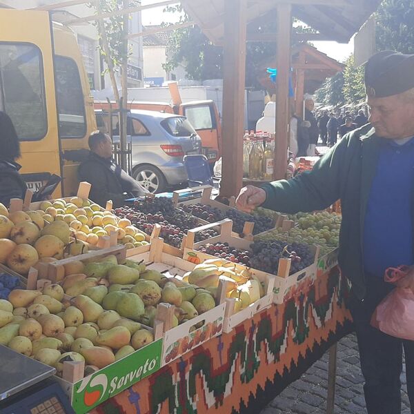 Kilo grožđa na tezgi 200 dinara, domaće vino 400 po litru: Na hiljade ljudi dolazi u Topolu, ovo je razlog (FOTO)