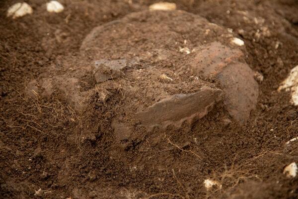 Užički arheolozi pronašli misterioznu posudu iz praistorijskog doba: Sumnjaju da se unutra nalazi nešto što niko...