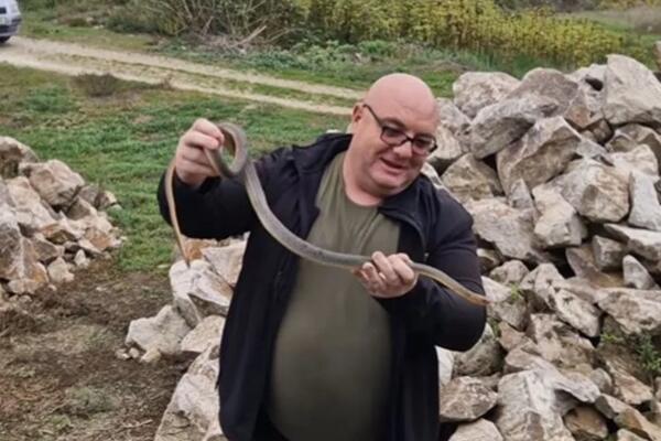 VLADICA ZMIJOLOVAC POKAZAO ŠTA JE ULOVIO, LJUDI SU FASCINIRANI! "Sad ćemo da ga rešimo, stavio sam ga u..."