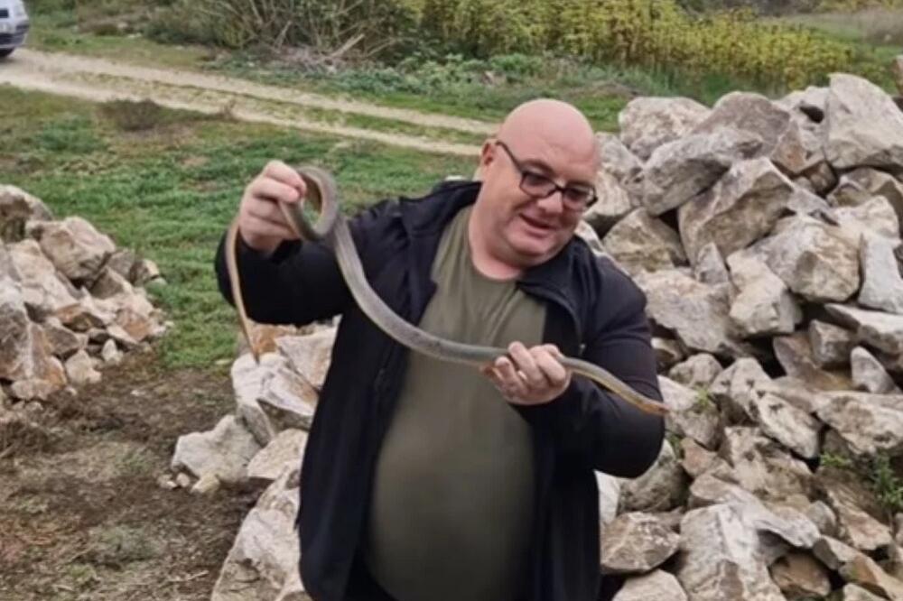 VLADICA ZMIJOLOVAC POKAZAO ŠTA JE ULOVIO, LJUDI SU FASCINIRANI! "Sad ćemo da ga rešimo, stavio sam ga u..."