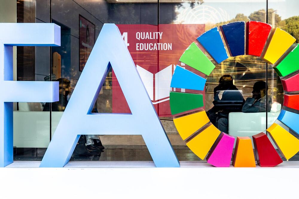 Si Đinping čestitao 80. godišnjicu postojanja Organizaciji UN za hranu i poljoprivredu