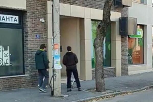 GRUPA MLADIH MU STAVILA POVODAC I PROŠETALI GA DORĆOLOM: Srbi zabezeknuti prizorom, DA LI JE OVO MOGUĆE, BRE?!