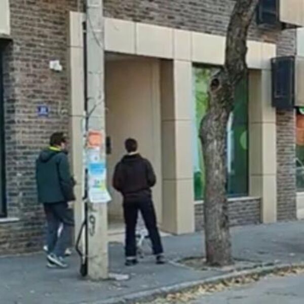 GRUPA MLADIH MU STAVILA POVODAC I PROŠETALI GA DORĆOLOM: Srbi zabezeknuti prizorom, DA LI JE OVO MOGUĆE, BRE?!