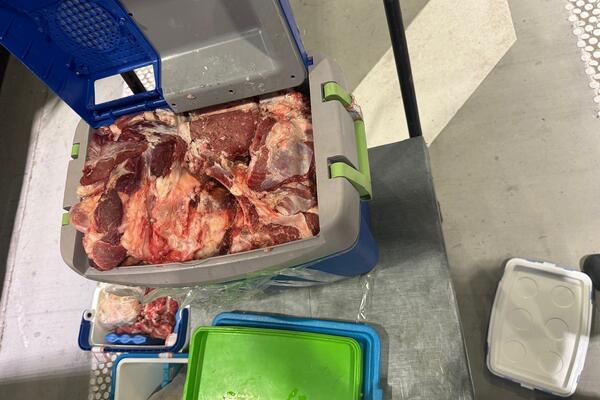 Namirnica najbolja protiv umora i malokrvnosti: Mnogi ljudi je ne jedu dovoljno, a jeftina je i nalazi se svuda