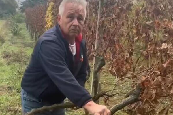 "UZEO JE TESTERU I KRENUO..." O svađi Vlade i Željka bruji region, šogori se zavadili oko BIZARNE STVARI (VIDEO)