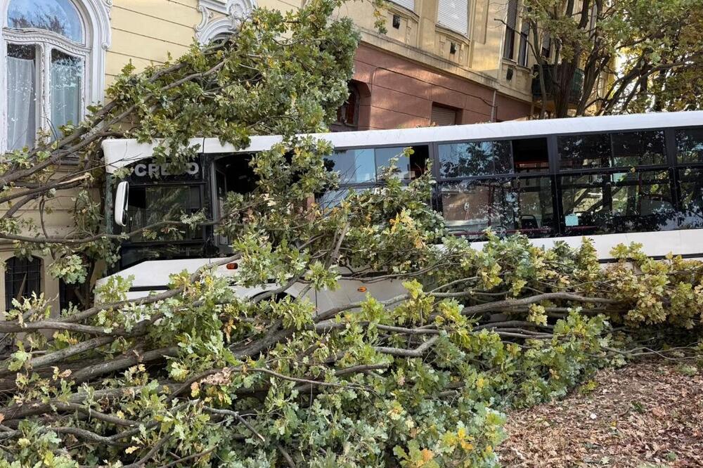 Autobus uleteo u zgradu srednje škole u Mađarskoj, ima mnogo povređenih! Na lice mesta poslato 7 helikoptera (FOTO)
