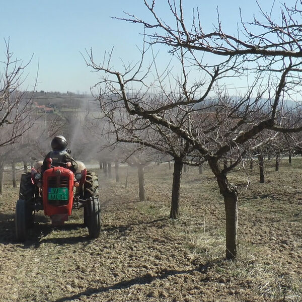 Ova posao u Srbiji donosi ogromnu zaradu: Uzima se do 1.500 dinara po radniku, a evo šta je potrebno