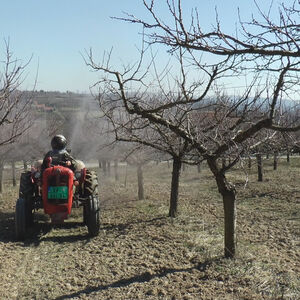 Ova posao u Srbiji donosi ogromnu zaradu: Uzima se do 1.500 dinara po radniku, a evo šta je potrebno