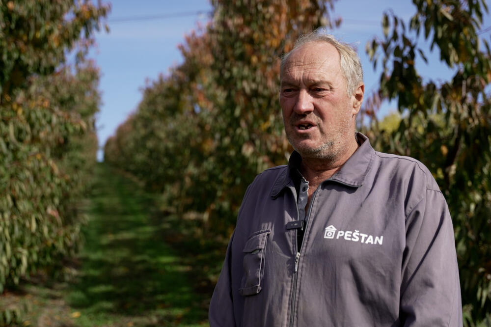 Nije isto bilo raditi leti pre 20 godina i sada: Darko zbog klimatskih promena ima sve manje prinosa (FOTO)